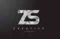 ZS Z S Letter Logo with Zebra Lines Texture Design Vector.