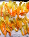 Zucca - pumpkin flowers for cooking