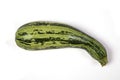 Zucchini Royalty Free Stock Photo