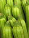 Zucchini Royalty Free Stock Photo