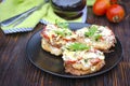 Zucchini appetizer with tomato sauce and cheese Royalty Free Stock Photo