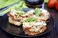 Zucchini appetizer with tomato sauce and cheese Royalty Free Stock Photo