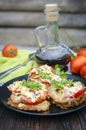 Zucchini appetizer with tomato sauce and cheese Royalty Free Stock Photo