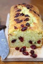 Zucchini bread with cranberries Royalty Free Stock Photo