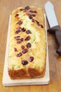 Zucchini bread with cranberries Royalty Free Stock Photo