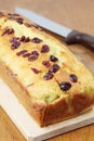 Zucchini bread with cranberries Royalty Free Stock Photo