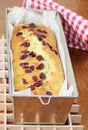 Zucchini bread with cranberries Royalty Free Stock Photo