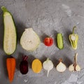 zucchini, cabbage, tomato, cucumber, pepper, carrot, beetroot, potato, radish onion garlic on a gray concrete background Royalty Free Stock Photo