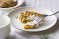 Zucchini, carrot, parmesan fritters with dill and yogur Royalty Free Stock Photo