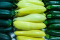 Zucchini, courgette or summer squash, delicious cucurbit piled neatly by different varieties at the Farmer\'s market