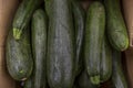 Zucchini courgettes in a box in a supermarket. Close-up Royalty Free Stock Photo
