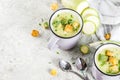 Zucchini creamy soup Royalty Free Stock Photo