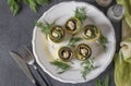 Zucchini and eggplant rolls with garlic and cream cheese on a plate on a dark gray background Royalty Free Stock Photo