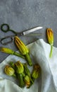 Zucchini flowers and scissors. Flat lay, copy space Royalty Free Stock Photo
