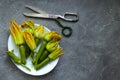 Zucchini flowers and scissors on the grey background. Flat lay, copy space Royalty Free Stock Photo