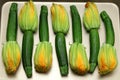 zucchini flowers in a tray, top view Royalty Free Stock Photo