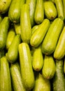 Zucchini Fresh and delicious organic fruits and vegetables Royalty Free Stock Photo