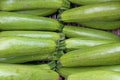 Zucchini. Fresh zucchini, green vegetables on local farmer market, freshly harvested courgette, summer squash. Organic green zucch Royalty Free Stock Photo