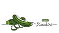 Zucchini, green marrow, courgette or squash vector illustration. One line drawing art illustration with lettering