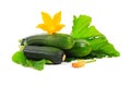 Zucchini or green marrow squash with green leaves and flowers isolated Royalty Free Stock Photo