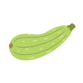 Zucchini icon in flat style