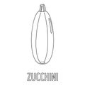 Zucchini icon, outline style.