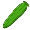 Zucchini Royalty Free Stock Photo