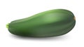 Zucchini isolated on white background.