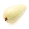 Zucchini isolated white background. Close-up Royalty Free Stock Photo