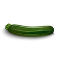 Zucchini isolated on white background. Royalty Free Stock Photo