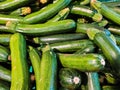 Zucchini It is a monoecious plant, that is, a plant that produces unisexual flowers, one male and one female, but carried by the s Royalty Free Stock Photo