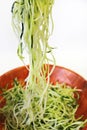 Zucchini noodles in a bowl vertical