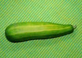 zucchini from organic garden