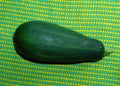 zucchini from organic garden