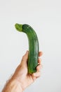 Zucchini organic vegetable in human hand