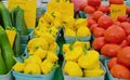 Zucchini, Patty Pan Squash and Tomatoes in baskets