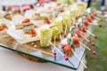 Zucchini rolls with pine nuts. Cherry tomatoes,mozzarella and Basil on skewers. . Pesto sauce. Tasty buffet table Royalty Free Stock Photo