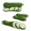 Zucchini set. Whole vegetable, cut, single and group.  Farm fresh veggies ready for cook. Vector illustrations Royalty Free Stock Photo