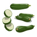 Zucchini set. Whole vegetable, cut, single and group. Flying slices. Farm fresh veggies. Vector illustrations Royalty Free Stock Photo