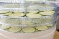 Zucchini slices in the dehydrator