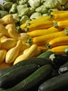 Zucchini and squash