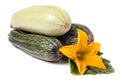 Zucchini and squash with flower leaf isolated on white background Royalty Free Stock Photo