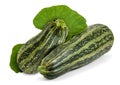 Zucchini Royalty Free Stock Photo