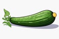 Zucchini vector flat minimalistic isolated illustration