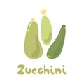 Zucchini Vector Illustration. Simple Illustration of three zucchini isolated on white background, flat design, no