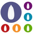 Zucchini vegetable icons set Royalty Free Stock Photo