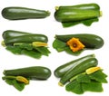 Zucchini vegetable set Royalty Free Stock Photo