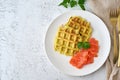 Zucchini waffles with salmon, fodmap diet top view copy space