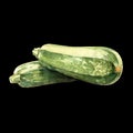 Zucchini watercolor illustration on white background