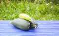 Zucchini on wooden boards outdoors